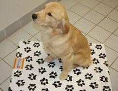 Ezee~Visit Pet Vet Mat multi-use design supports home, car, or clinical environments.