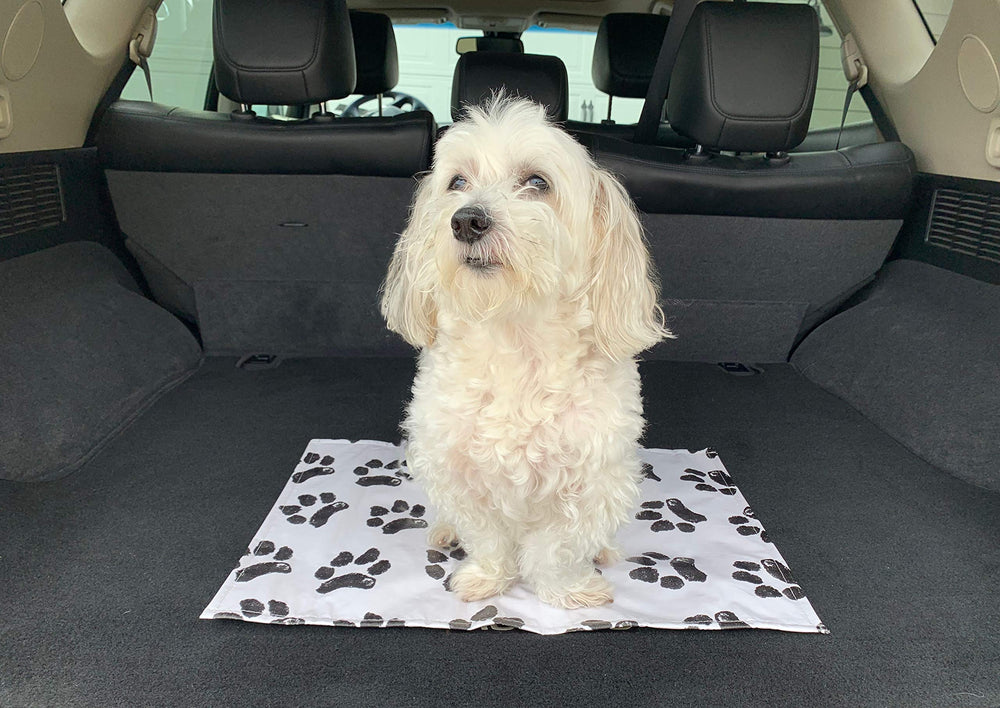 Ezee~Visit Pet Vet Mat with nonskid bottom helps pets stay secure on clinic surfaces.