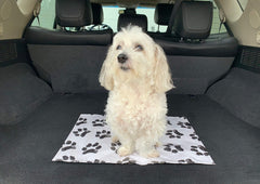 Ezee~Visit Pet Vet Mat with nonskid bottom helps pets stay secure on clinic surfaces.