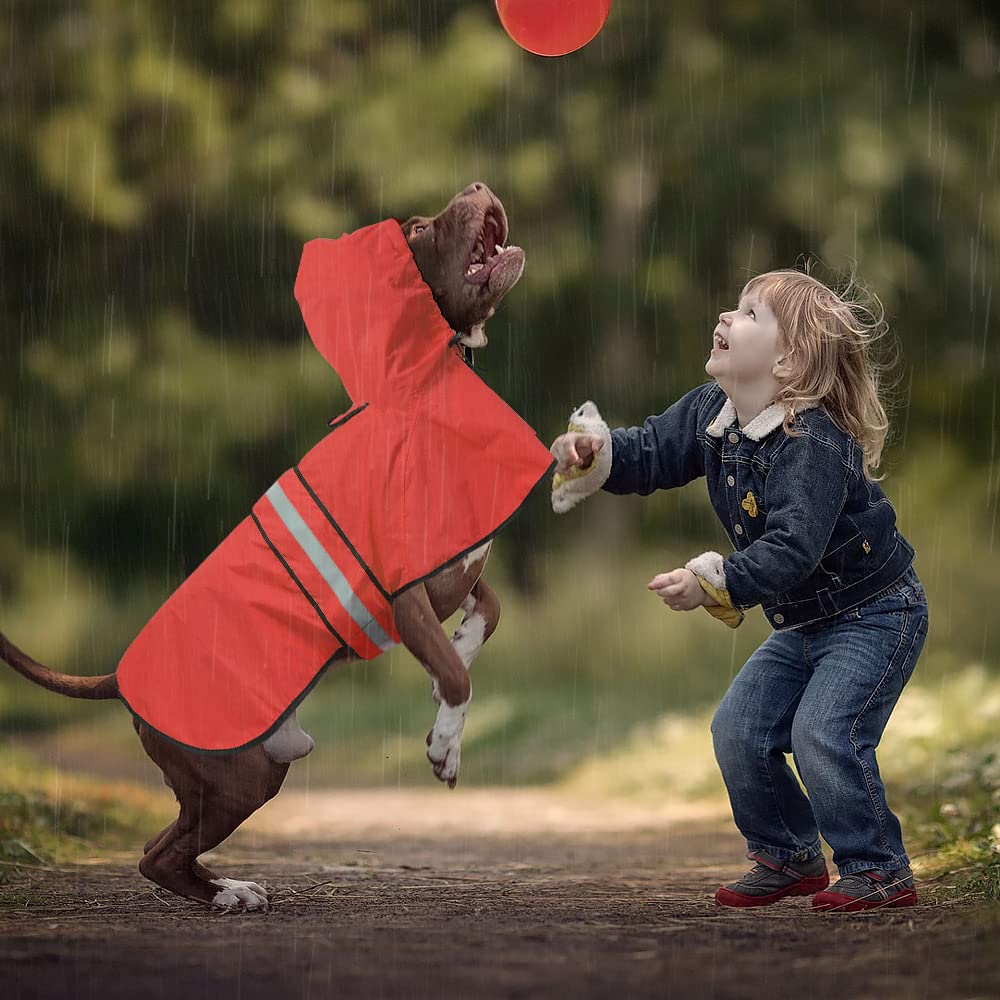 Ezierfy four-size options ensure a snug fit from small to XL dogs.