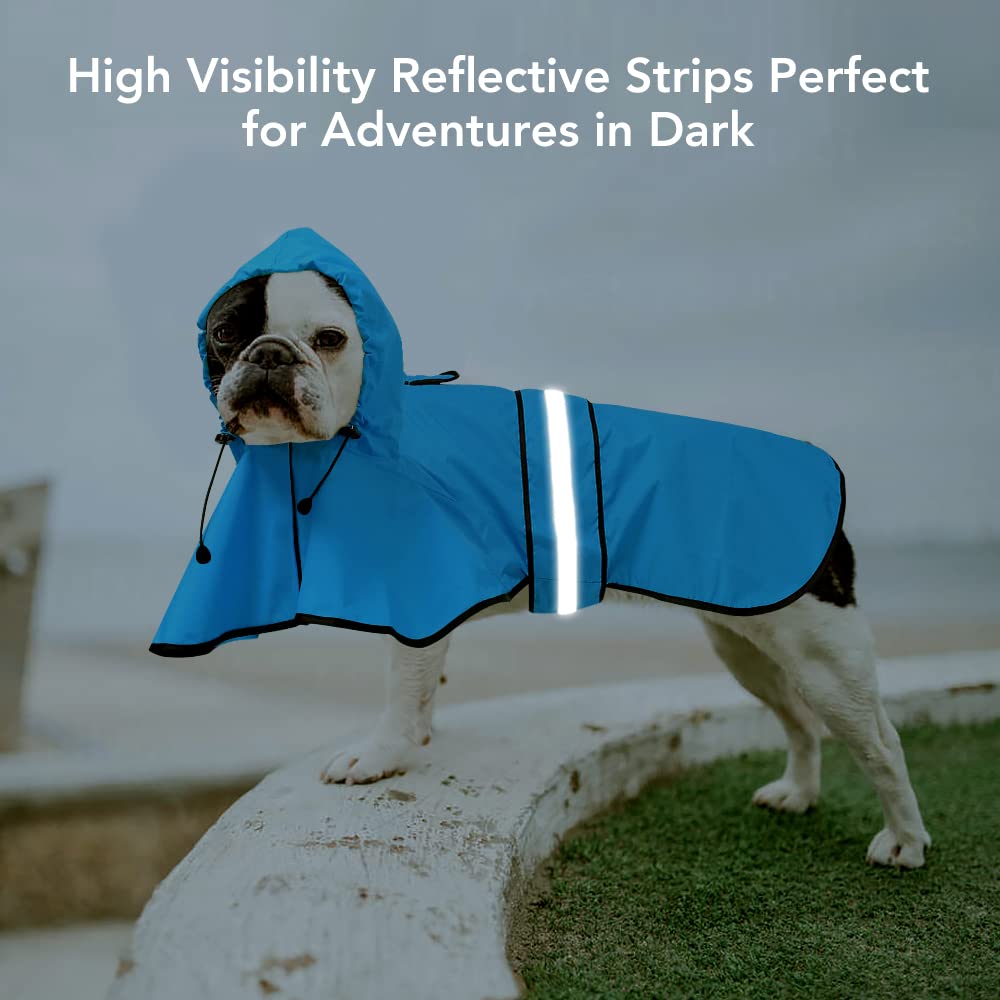 Ezierfy hood with cap buckle adapts to dogs’ heads for better protection