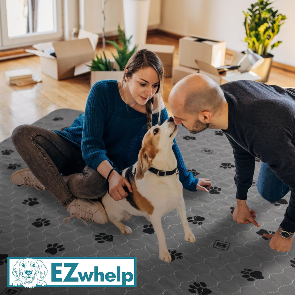 EZwhelp 27x32 inch pad pack-two provides ample coverage for large pets.