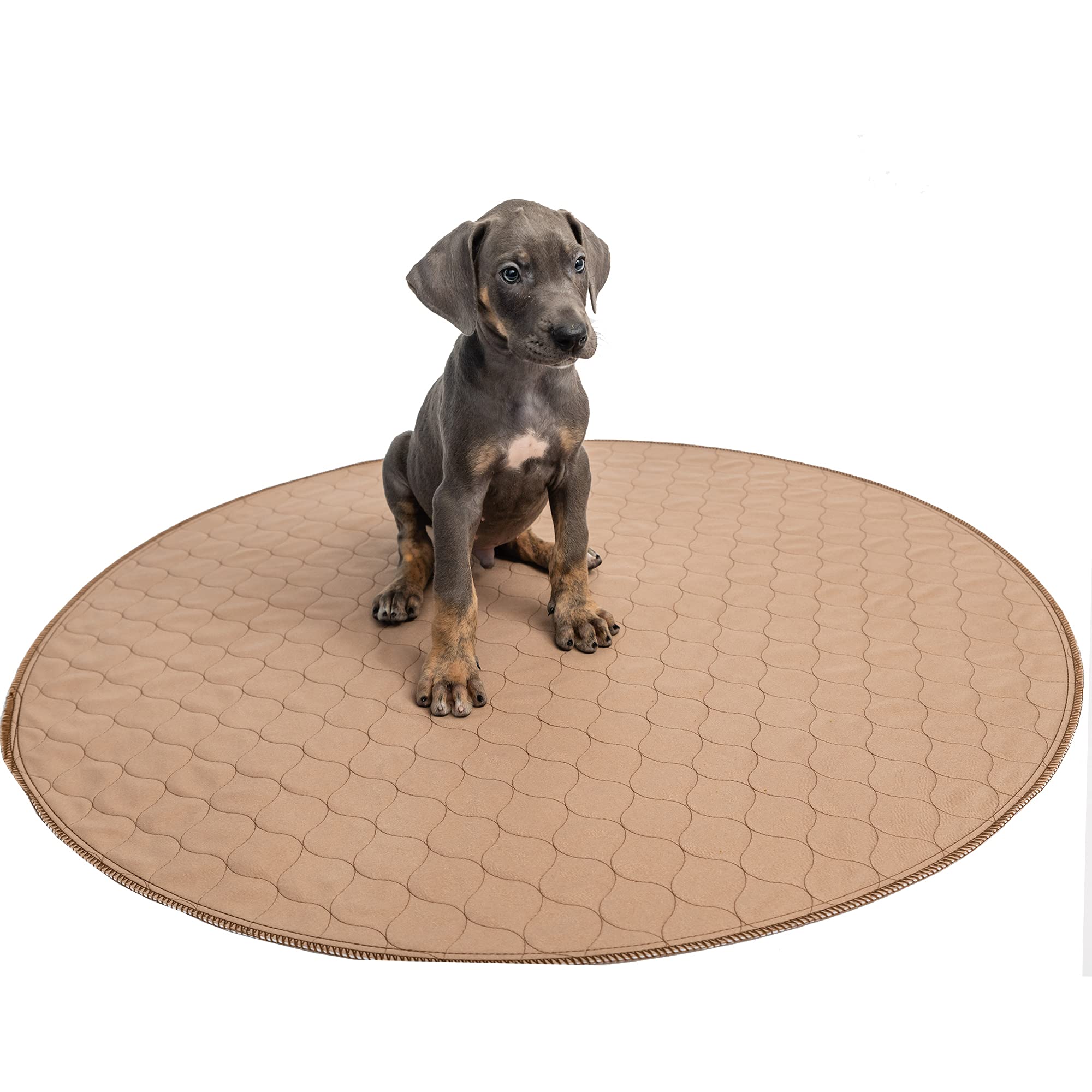 EZwhelp pad in playpen or crate keeps surfaces cleaner.