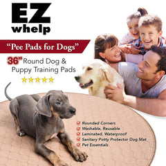 EZwhelp reusable pee pad folded for storage, reducing waste.