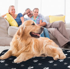 EZwhelp washable dog pee pad in use protecting floors on hard surfaces