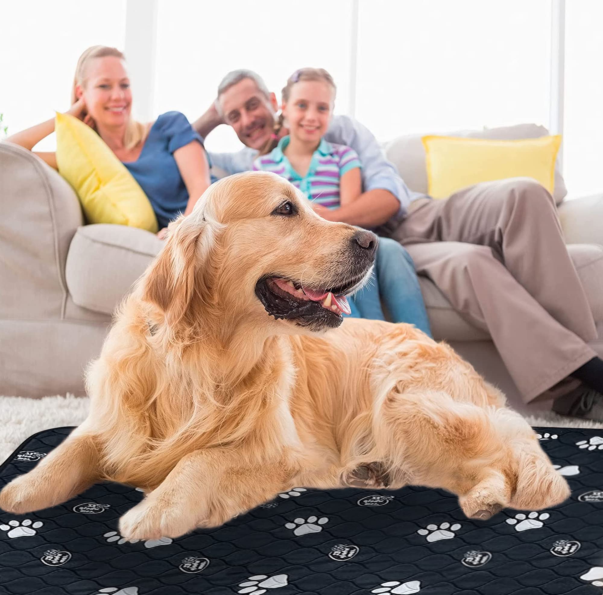 EZwhelp washable dog pee pad waterproof bottom on 50x50 surface