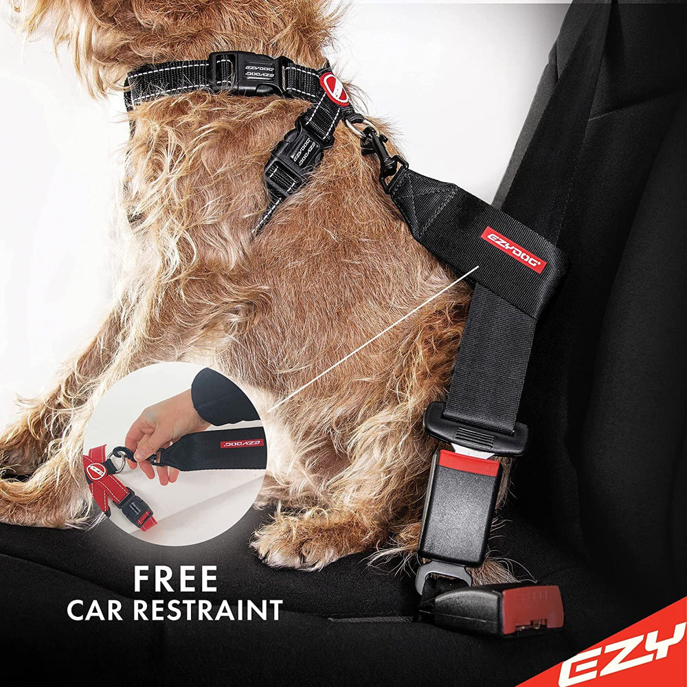 EzyDog chest plate pink large helps quick identification during group walks.