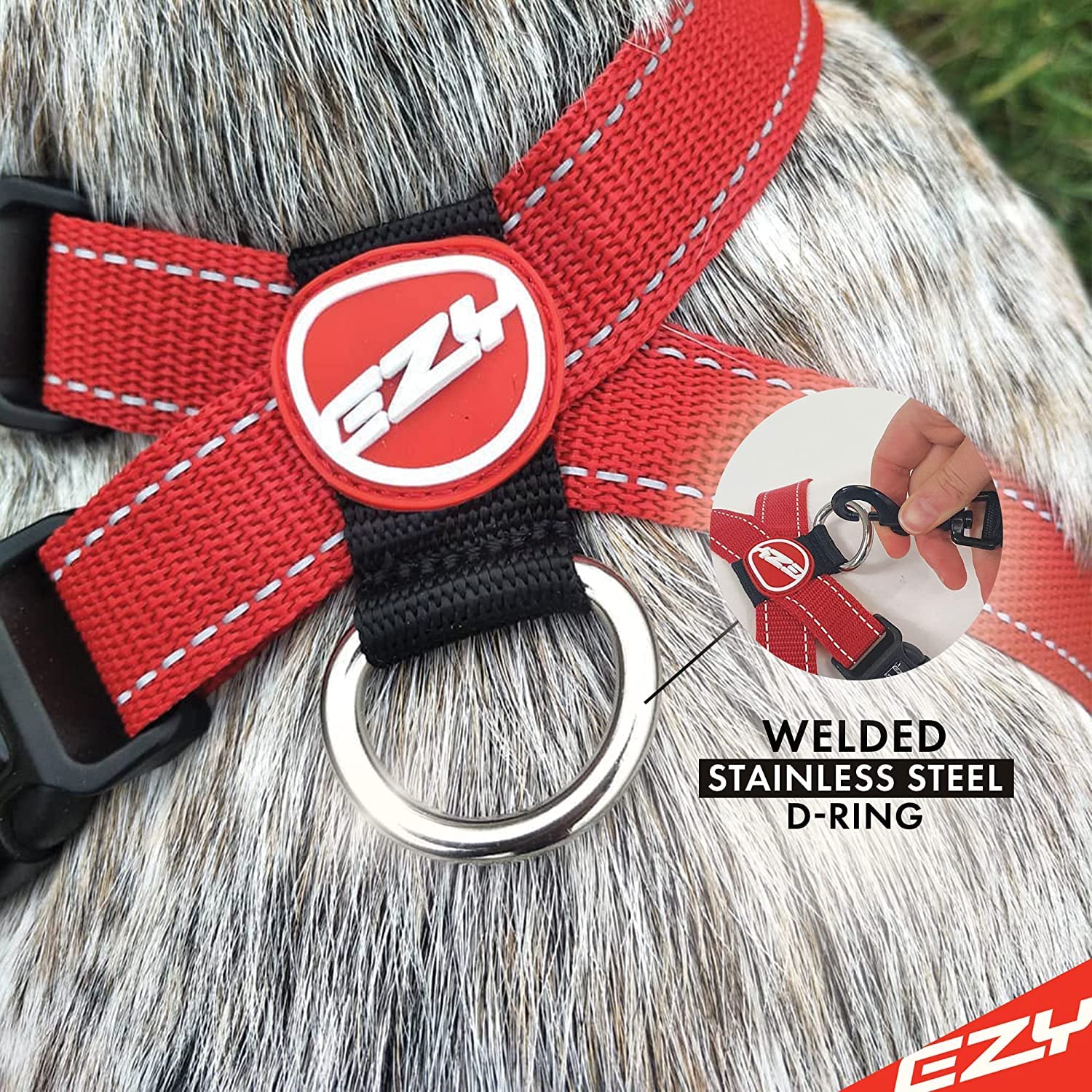 EzyDog chest plate harness with car restraint included for safe travel safety