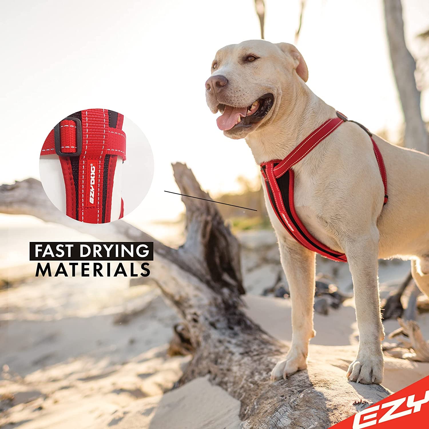 EzyDog chest plate harness reflective stitching detail enhances nighttime visibility