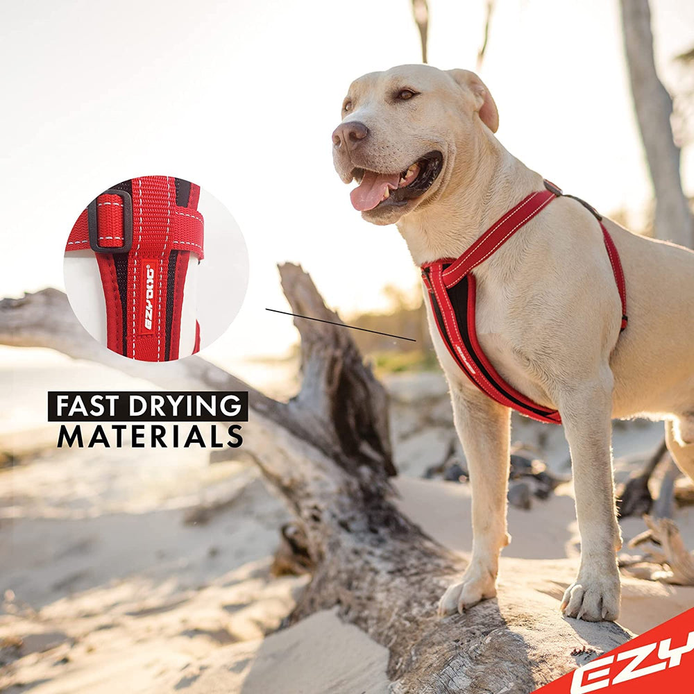 EzyDog chest plate harness reflective stitching detail enhances nighttime visibility