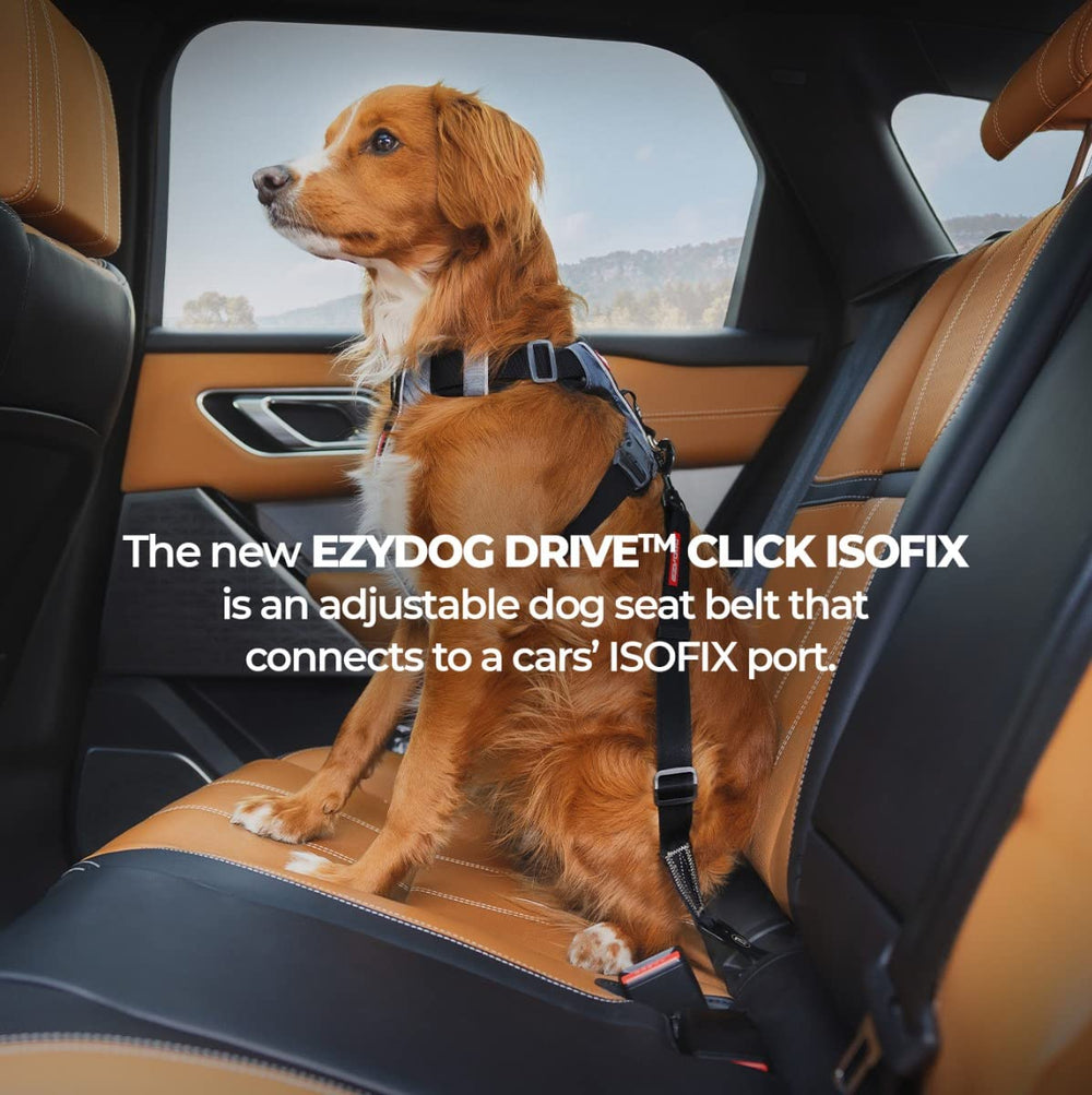 EzyDog Click ISOFIX Cargo harness compatibility enables seamless pairing with EzyDog harnesses