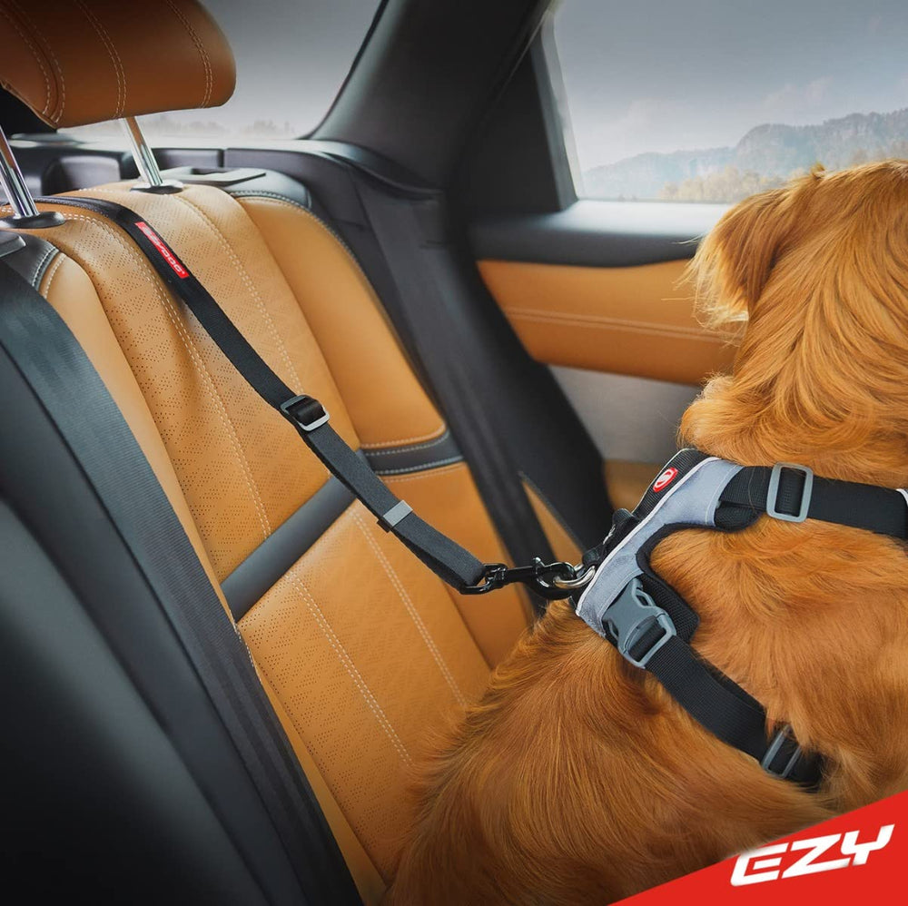 EzyDog Click ISOFIX Cargo strong-webbing highlights rugged, durable safety for long trips
