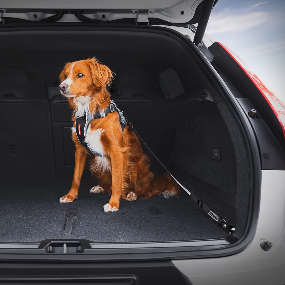 EzyDog Click ISOFIX Cargo swivel-hook enhances reliability and reduces distraction during drives