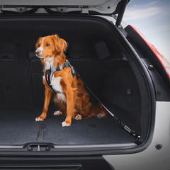 EzyDog Click ISOFIX Cargo swivel-hook enhances reliability and reduces distraction during drives