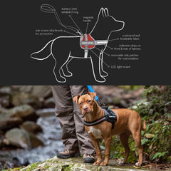 EzyDog Convert small charcoal chest strap adjustment ensures snug secure fit during hikes