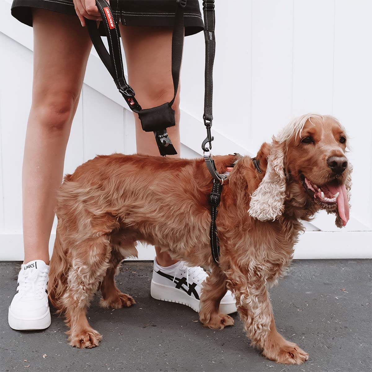 EzyDog Crosscheck dual D-rings provide versatile setup for walks or training