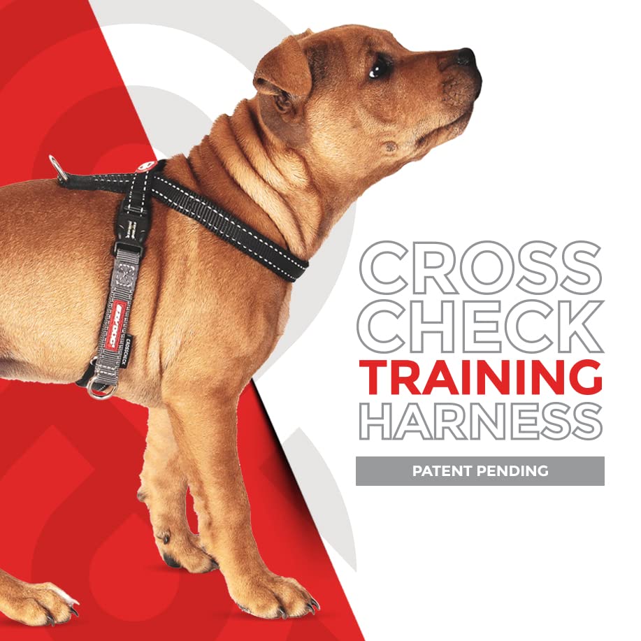 EzyDog Crosscheck quick-release buckle enables easy on-off at the curb