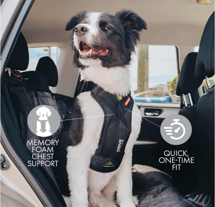 EzyDog Drive harness with aluminum Tri-Glides highlighting durability