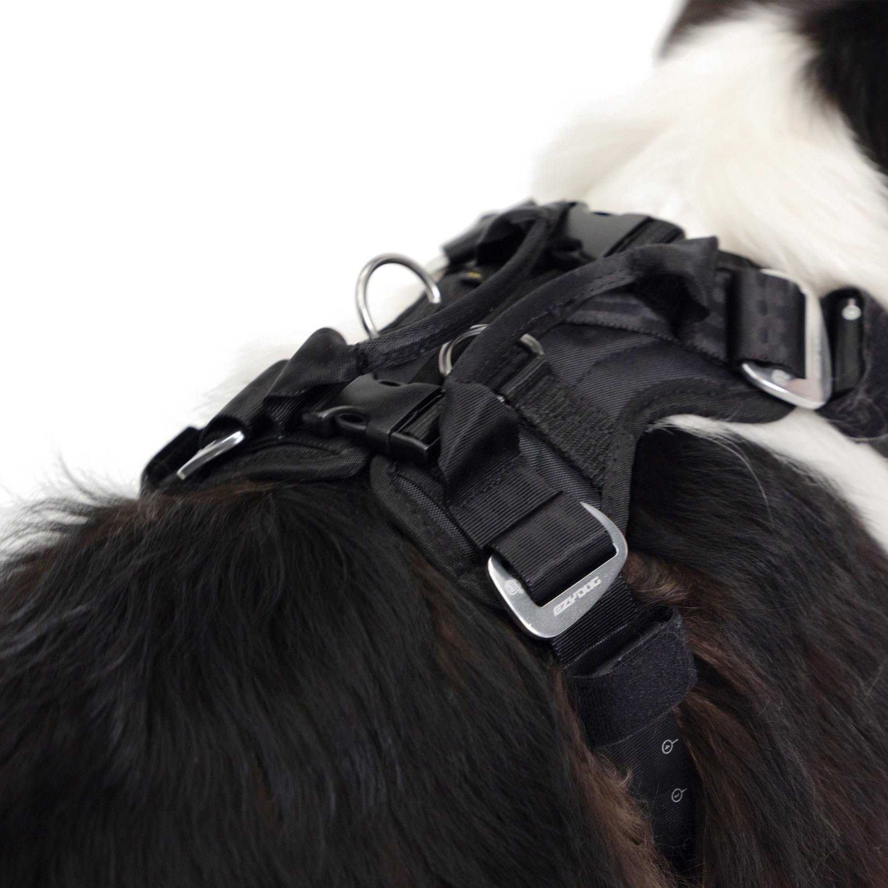 EzyDog Drive harness highlights Crosslink Technology for strength
