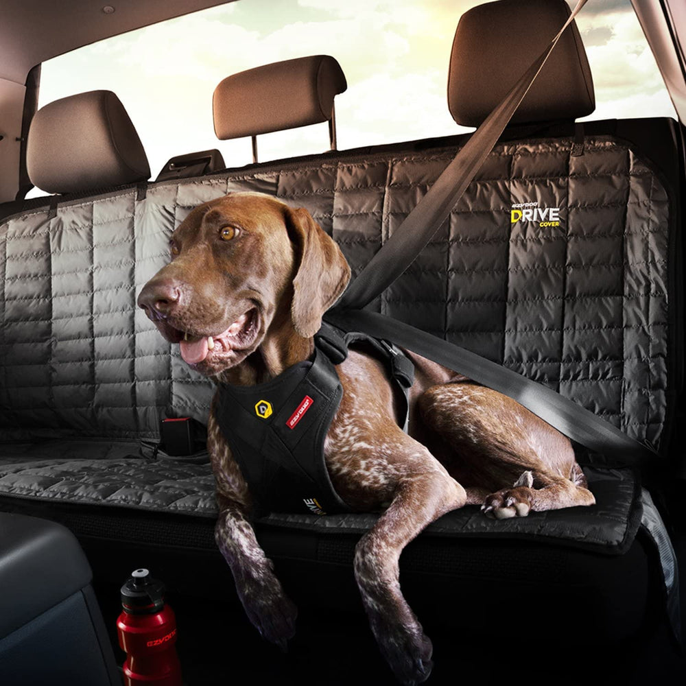 EzyDog Drive harness with dual D-ring attachments for versatility