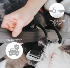 EzyDog Drive harness shows ergonomic padded chest plate for comfort