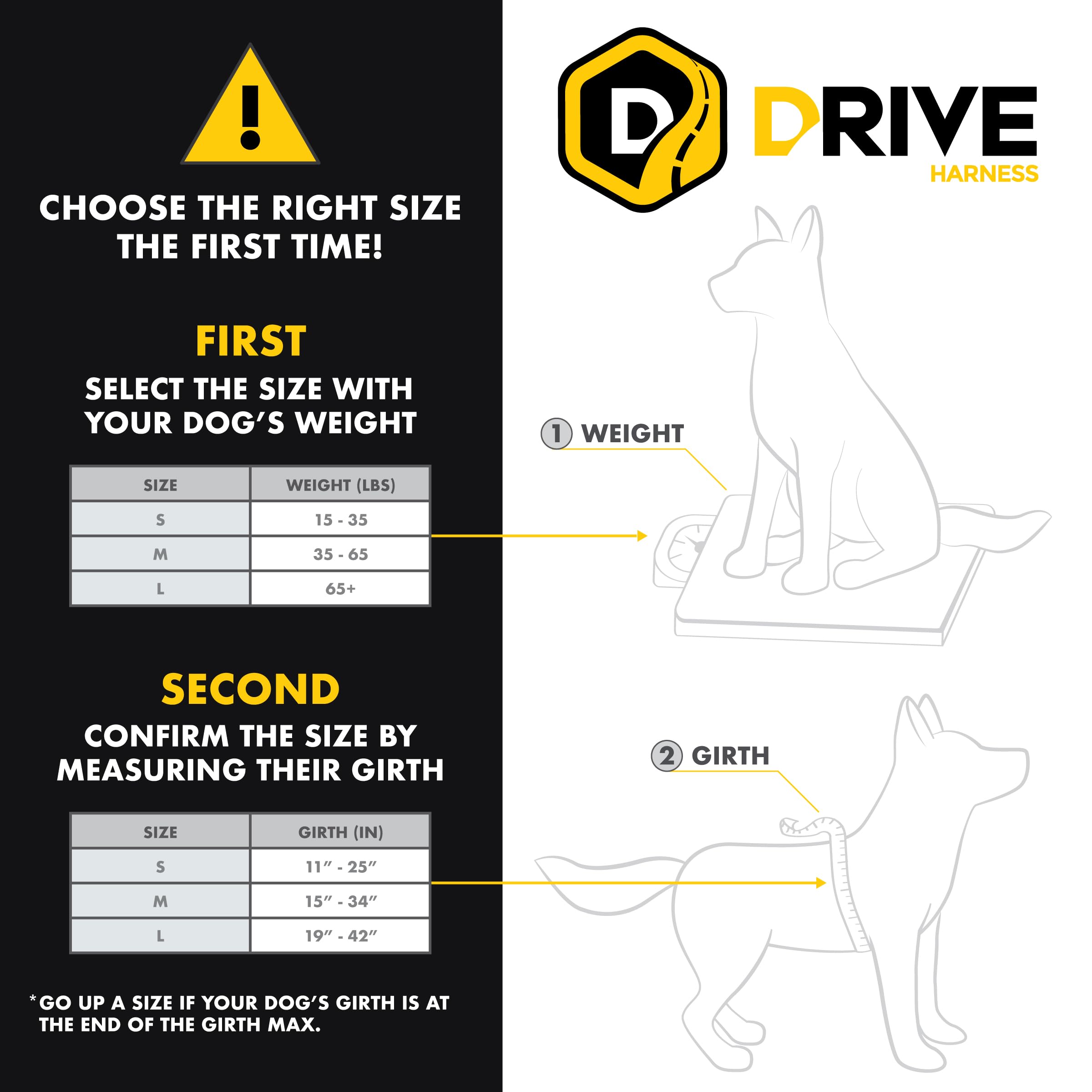 EzyDog Drive harness demonstrates universal seat belt compatibility