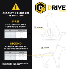 EzyDog Drive harness demonstrates universal seat belt compatibility