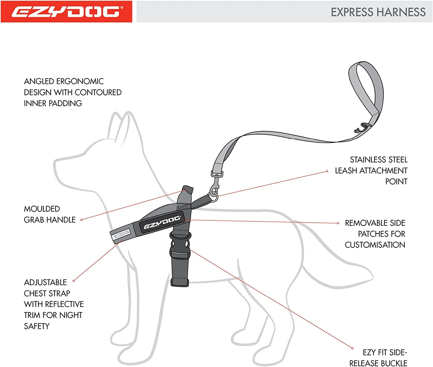 EzyDog Express harness d-ring-accessory keeps essentials within reach.