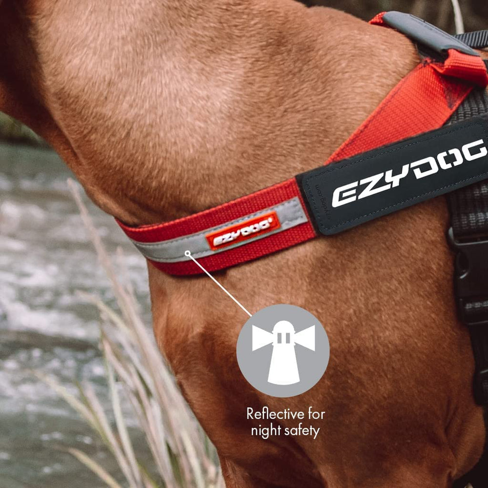 EzyDog Express Harness d-ring-attachment highlights sturdy leash connection.