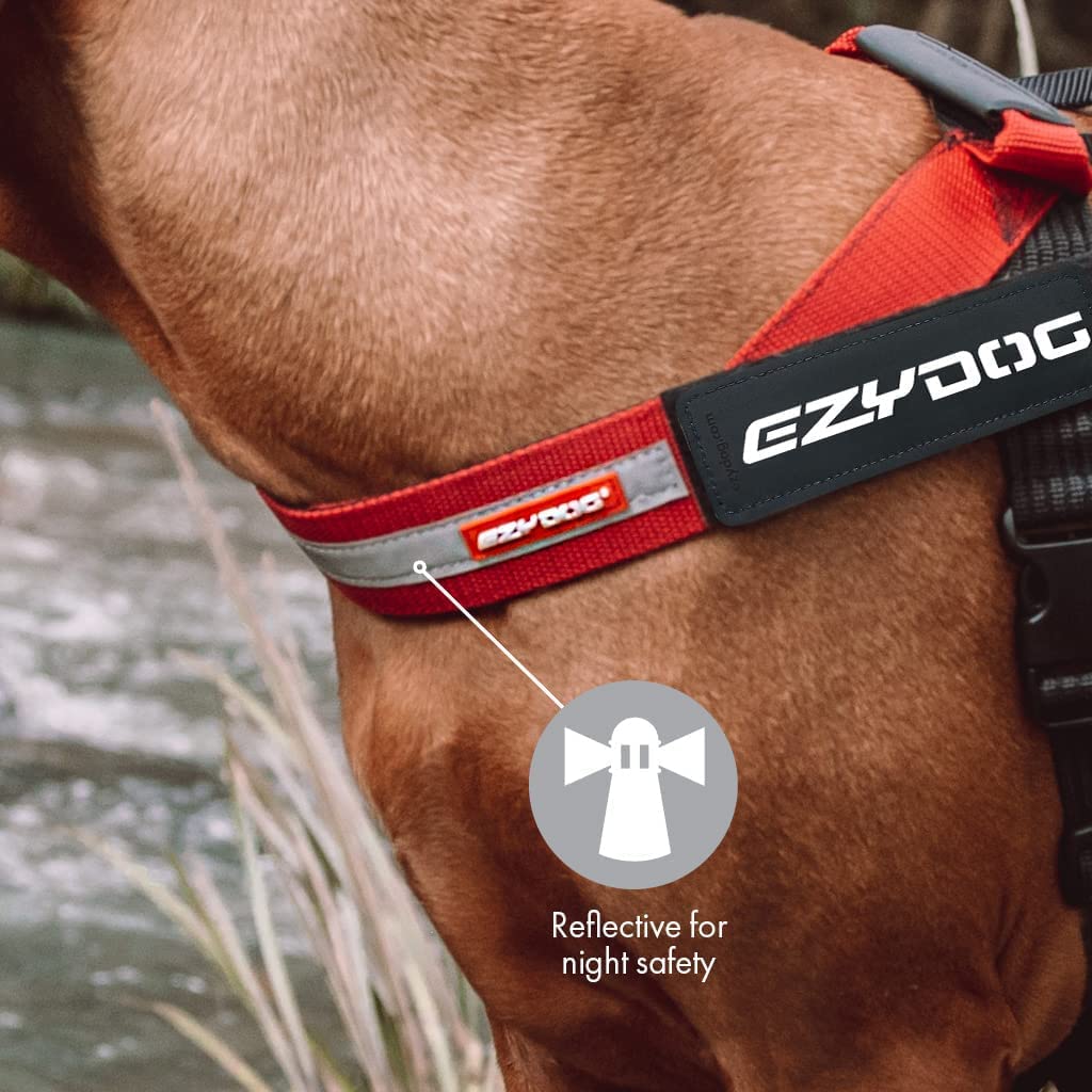 EzyDog Express harness pp-webbing combines durability with a soft feel on walks.