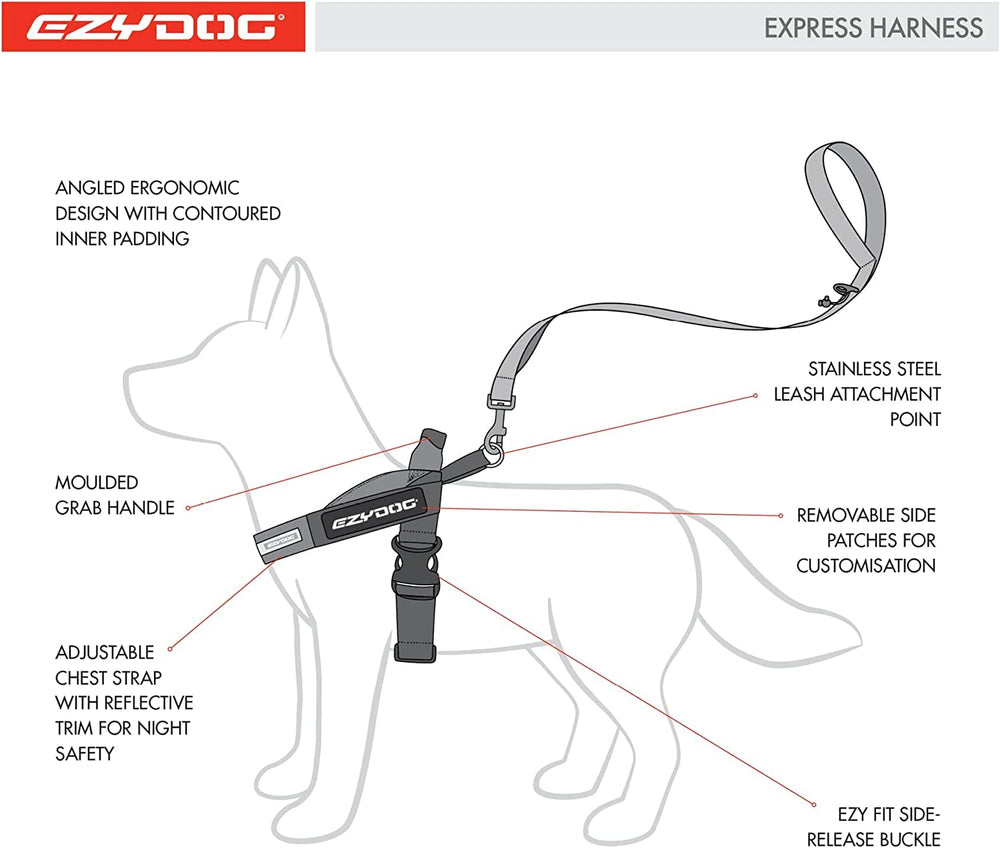 EzyDog Express Harness upfront-leash-attachment compatibility adds versatility.