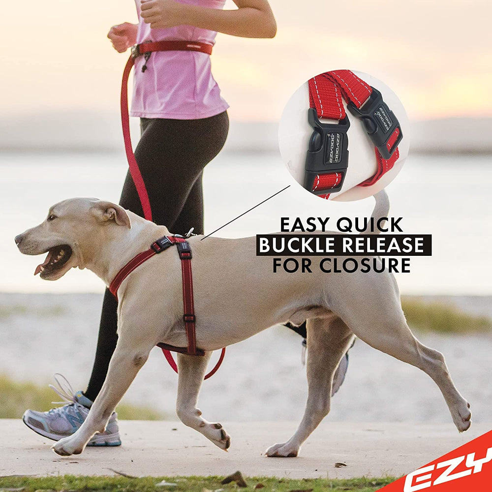 EzyDog denim harness with quick-release buckles for easy on/off during city walks.