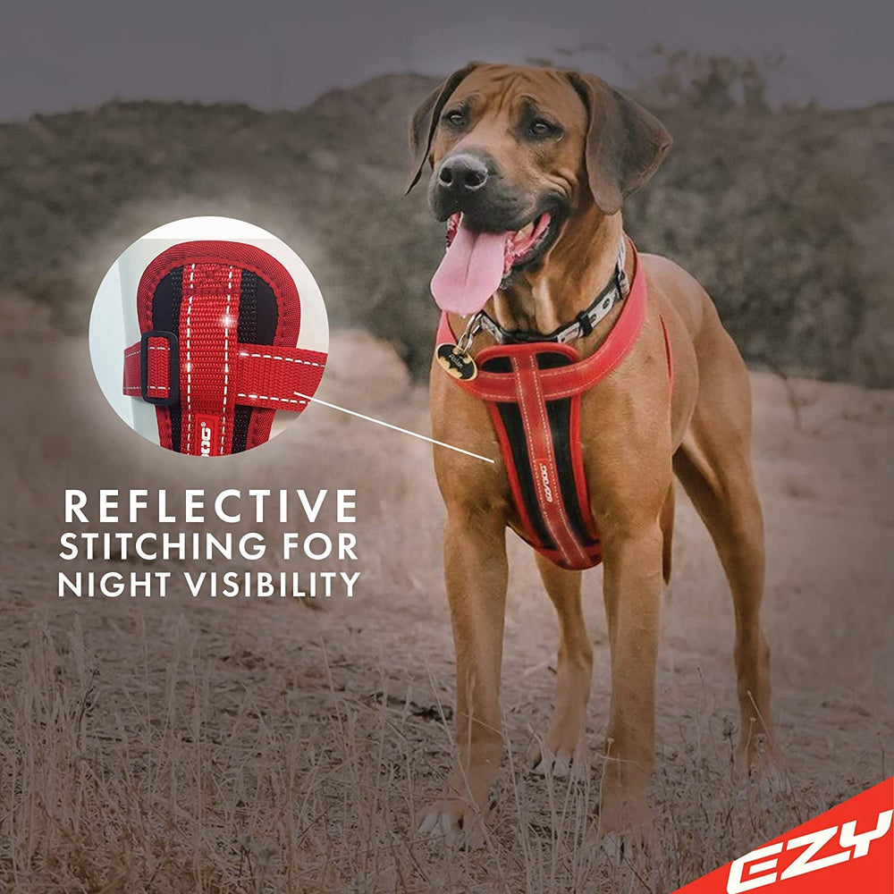 EzyDog quick-release buckles enable easy on/off before quick outings.