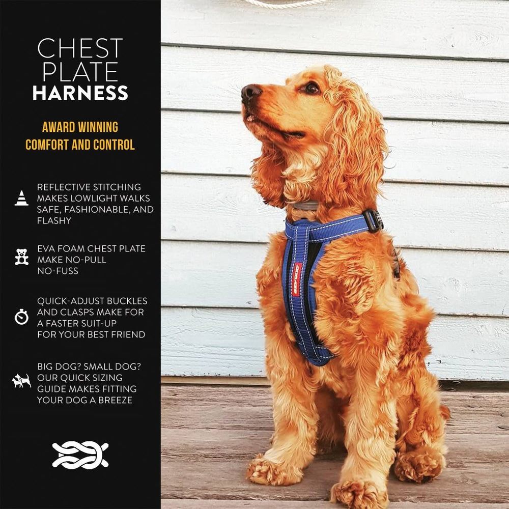 EzyDog no-pull harness on dog during walk shows improved control for loose-leash training.