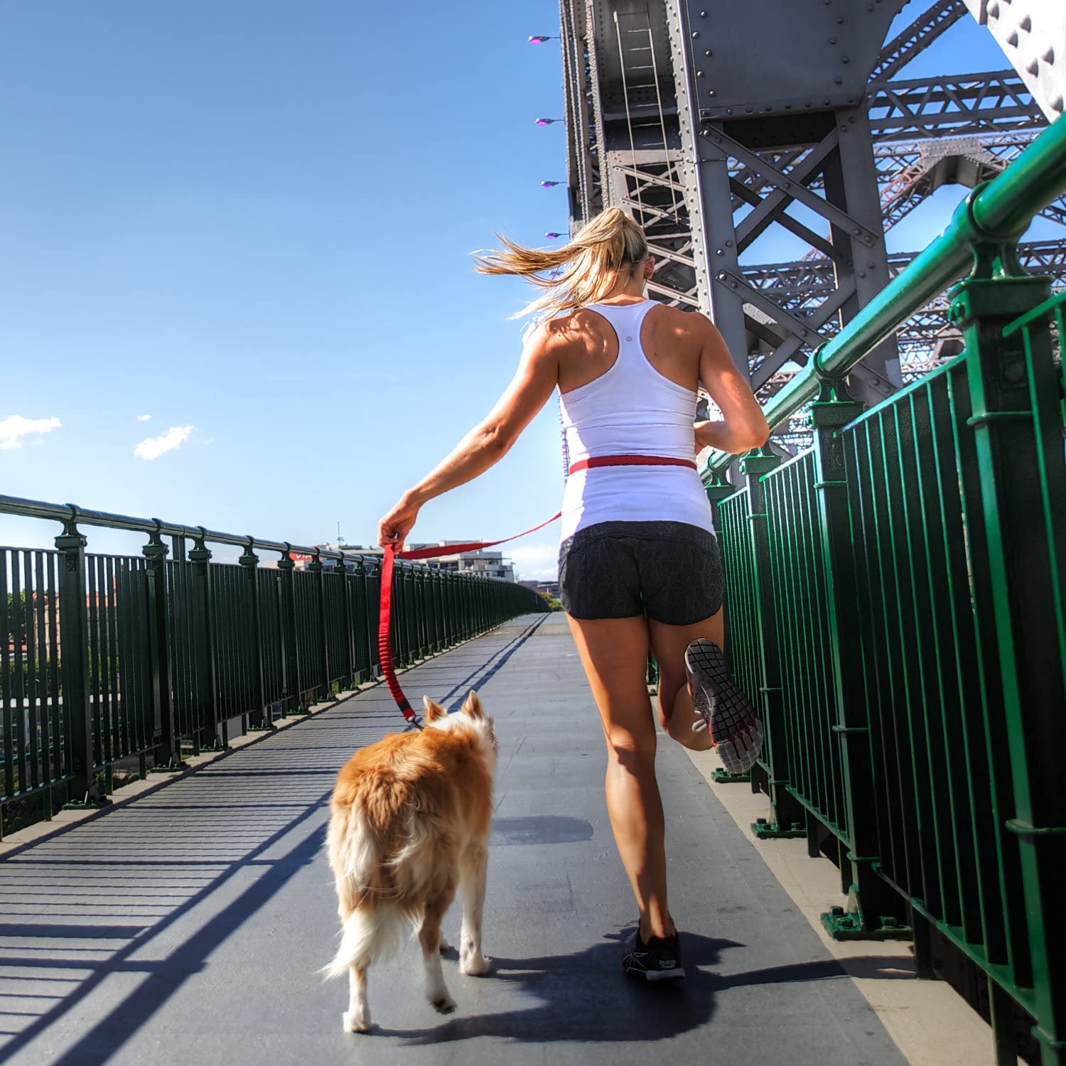 EzyDog Road Runner adjustable length adapts to different terrains.