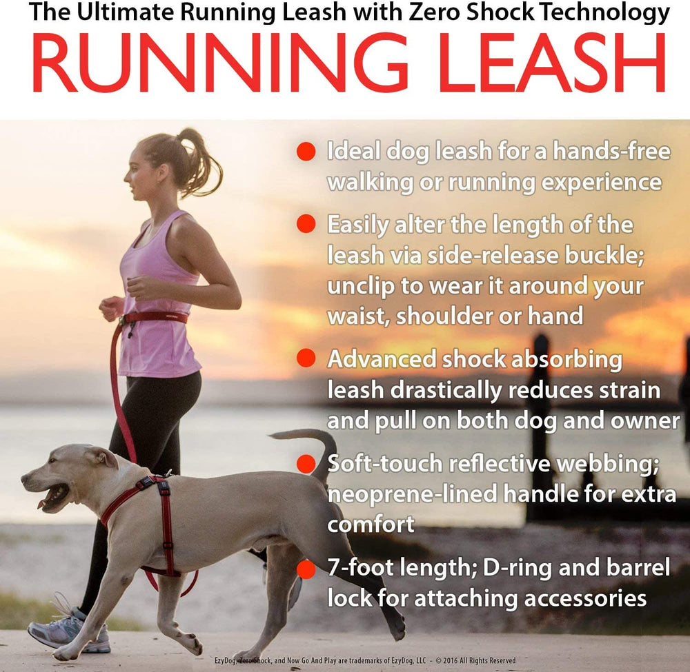 EzyDog Road Runner LITE reflective stitching boosts visibility in low light.