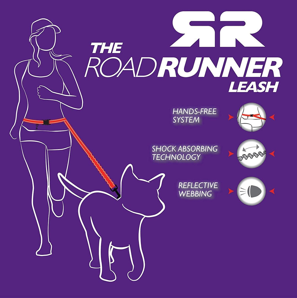 EzyDog Road Runner Orange Color enhances visibility and style.