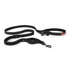 EzyDog Road Runner waist setup for hands-free walks.