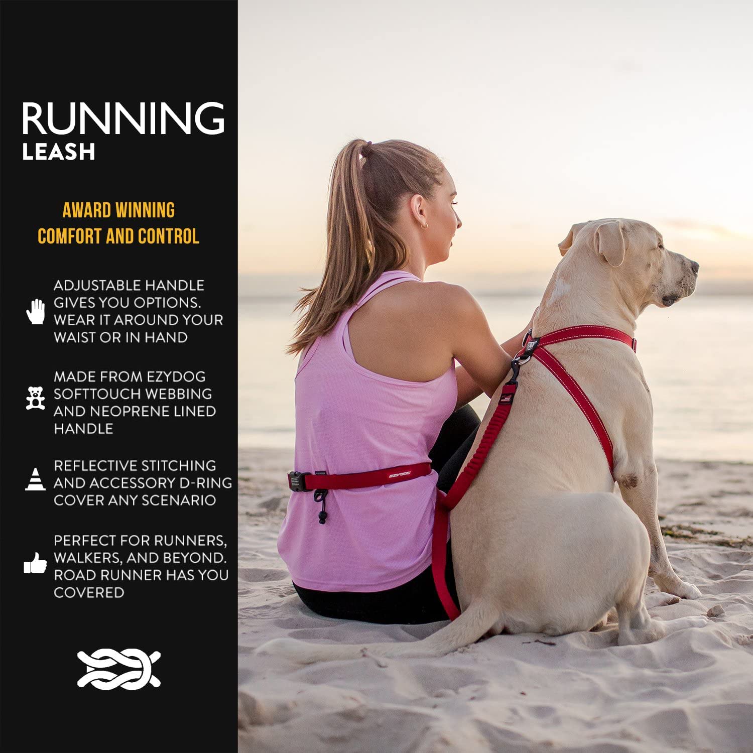 EzyDog Road Runner zero-shock bungee cushions jolts during runs.