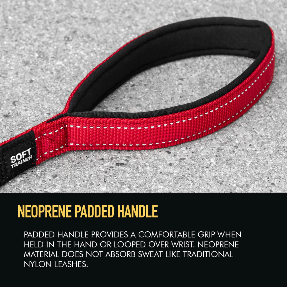 EzyDog Soft Trainer leash 1-inch width supports strong performance for medium and large dogs.