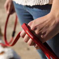 EzyDog Zero Shock Lite Leash neoprene handle offers comfortable grip.
