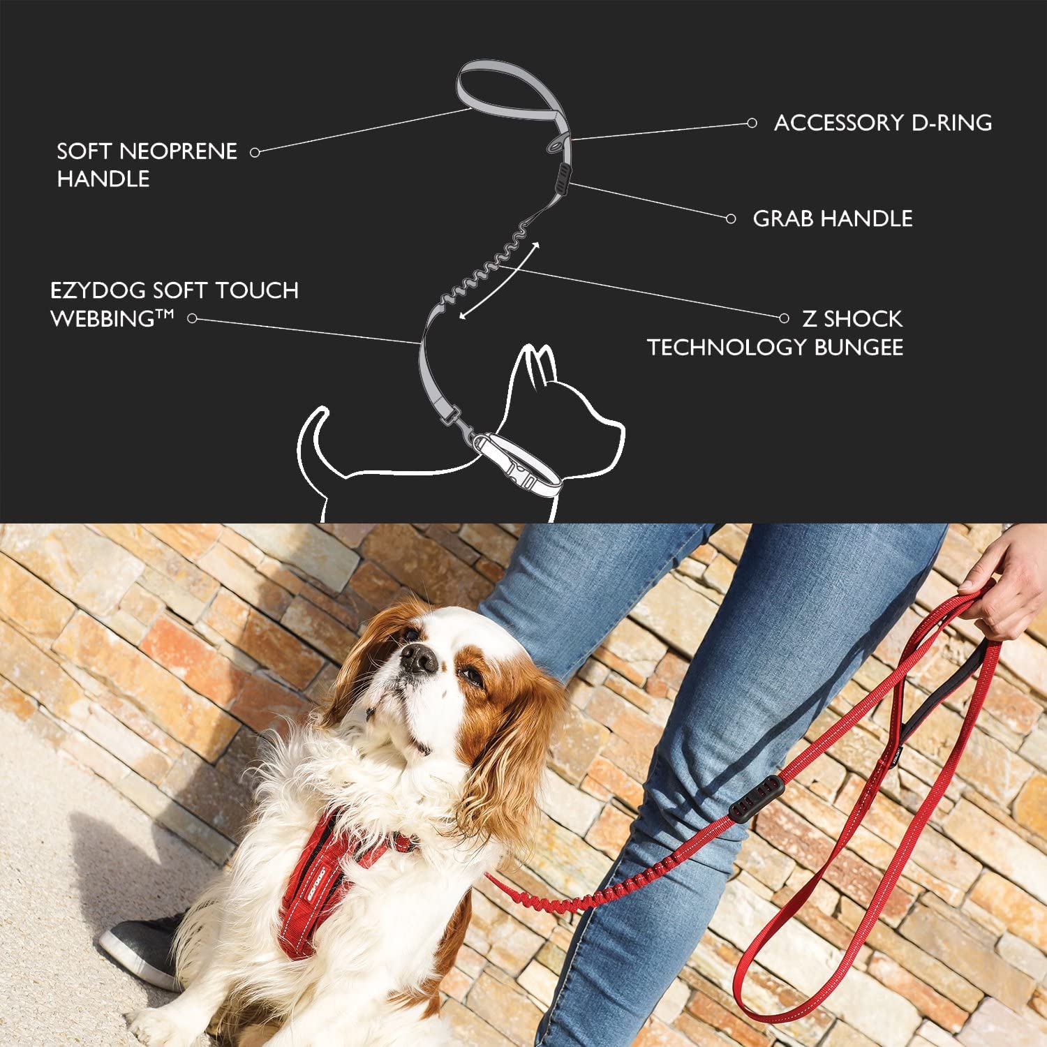 EzyDog Zero Shock Lite Leash reflective trim boosts night safety.