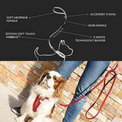 EzyDog Zero Shock Lite Leash reflective trim boosts night safety.