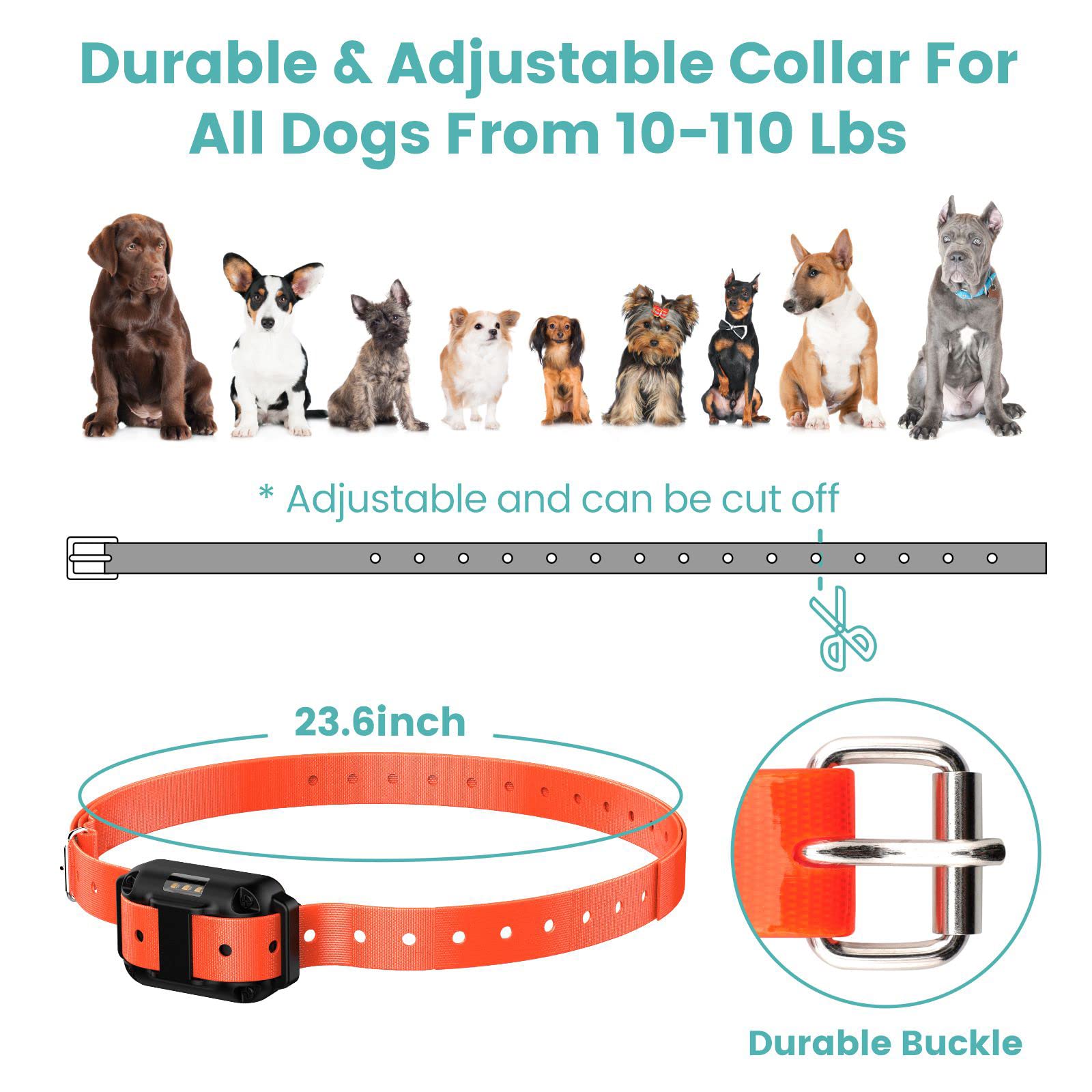 F-color collar silicone contacts reduce skin irritation during long sessions.