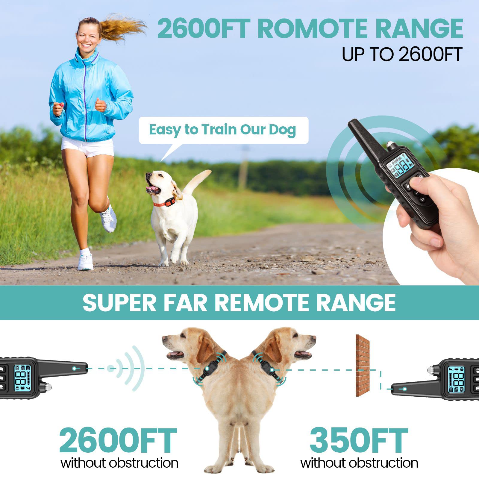 F-color training collar with IP65 waterproof rating supports rainy-day training.