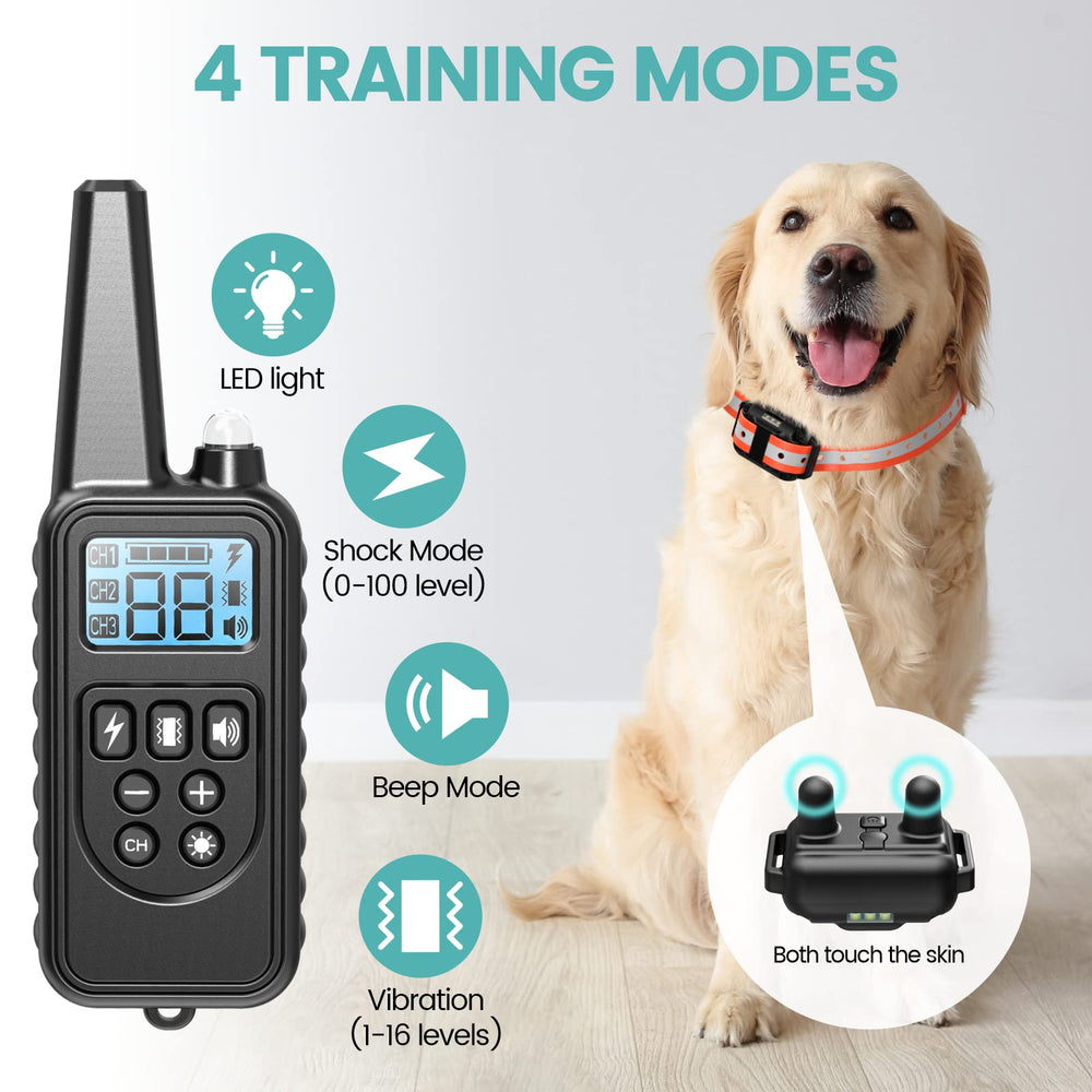 F-color three-dog receiver set enabling simultaneous obedience training.