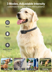 F-color training collar modes show beep, vibration, and shock for versatile obedience cues.