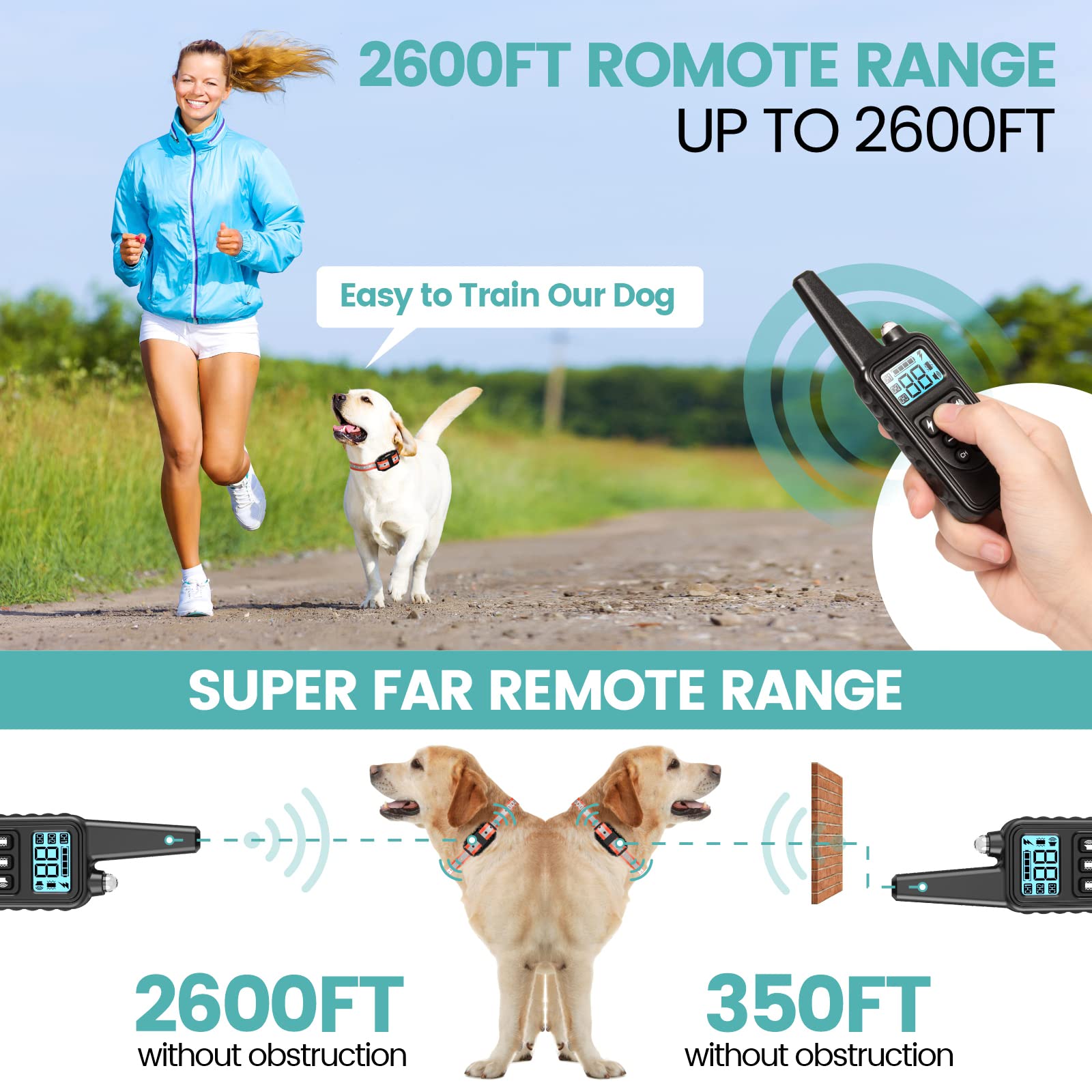 F-color waterproof dog collar ready for outdoor training in rain.