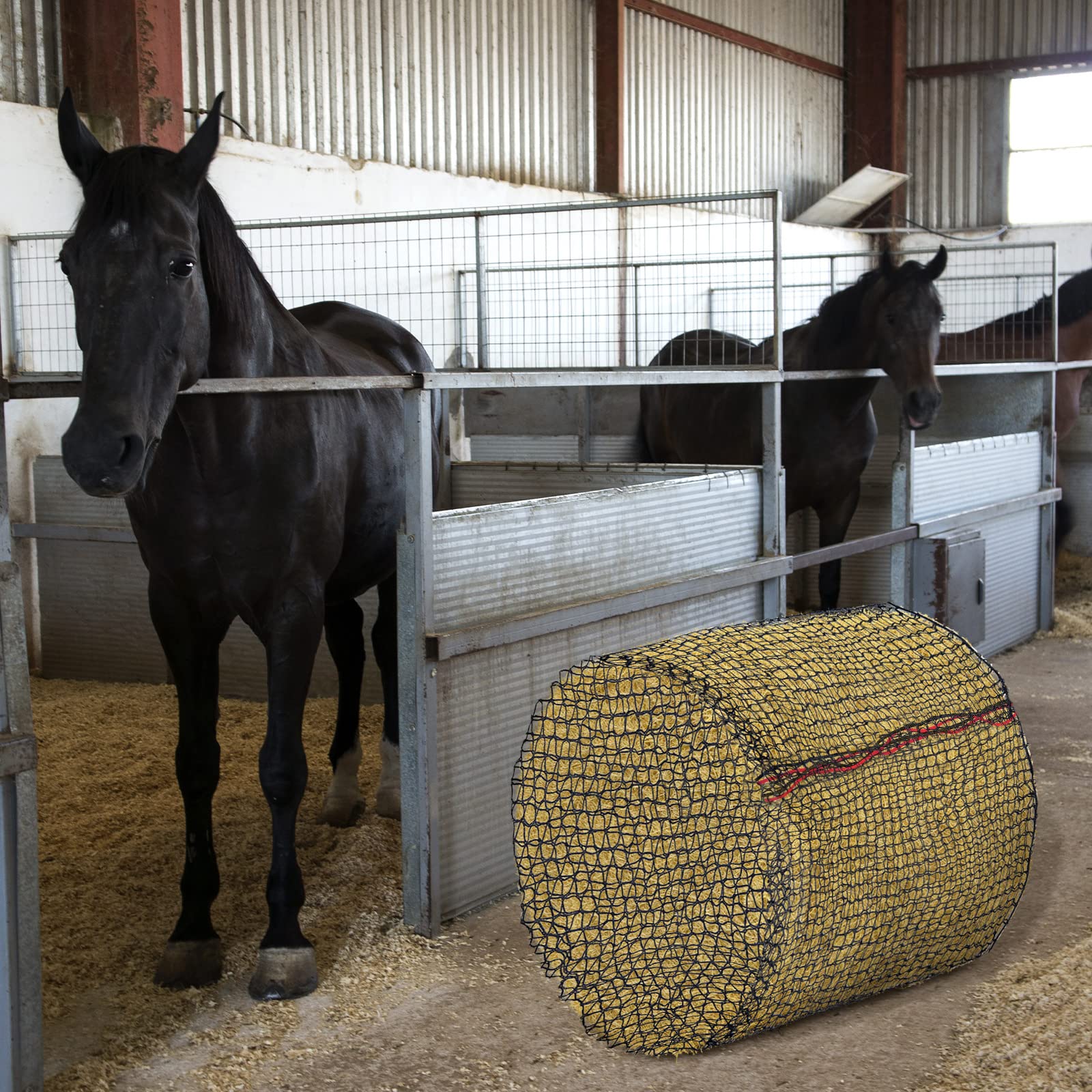 Fabbay hay net in barn or trailer keeps hay off the floor and clean.