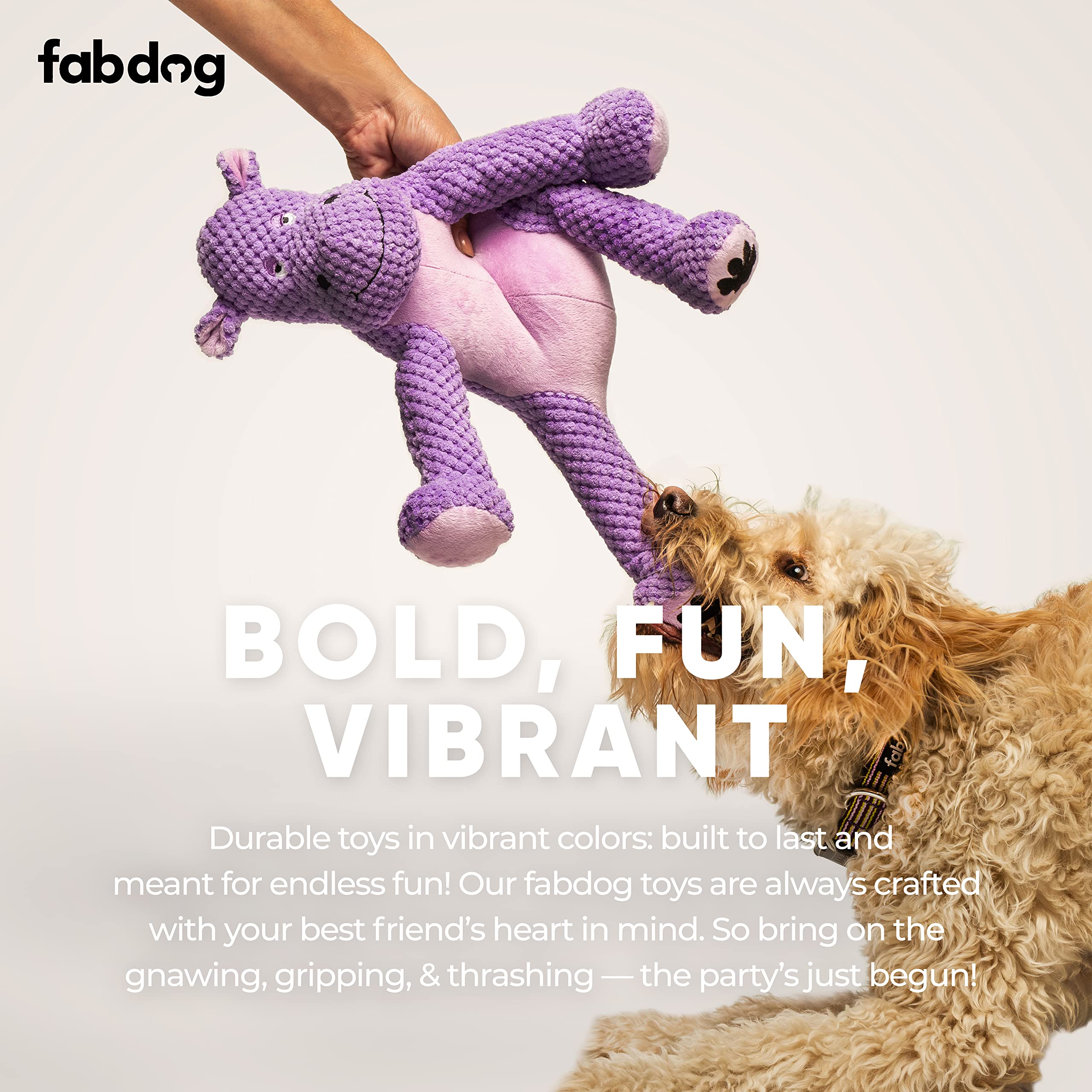 Fabdog Floppies Colorful Designs stimulate visual interest and playful exploration.